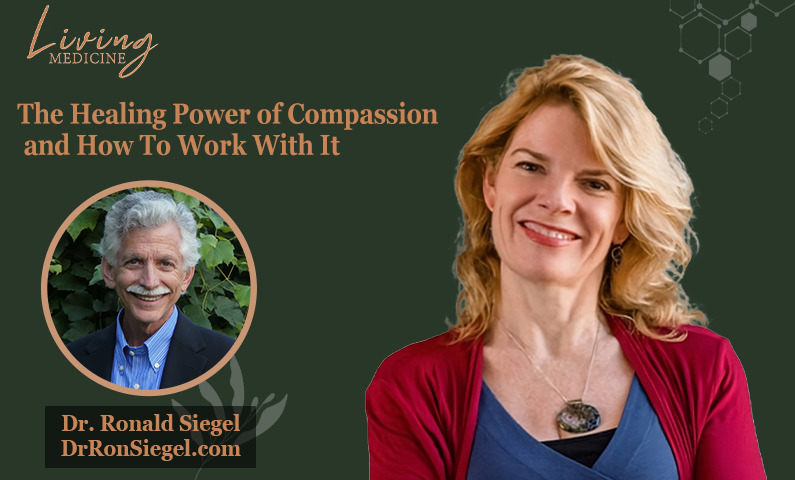 The Healing Power of Compassion and How To Work With It