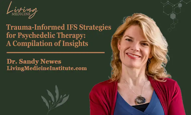 Trauma-Informed IFS Strategies for Psychedelic Therapy: A Compilation of Insights